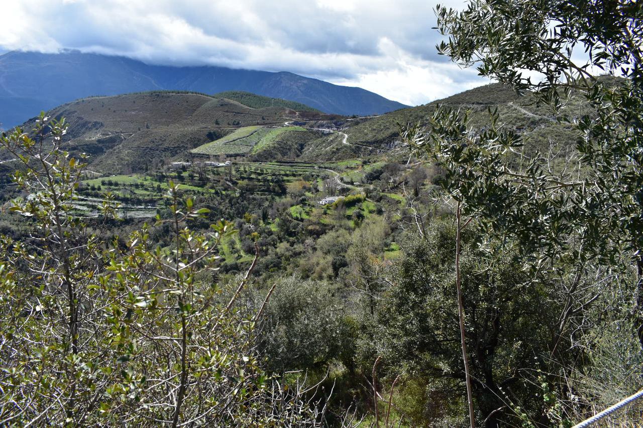 Dreams Alpujarra Apartment Pampaneira Exterior foto