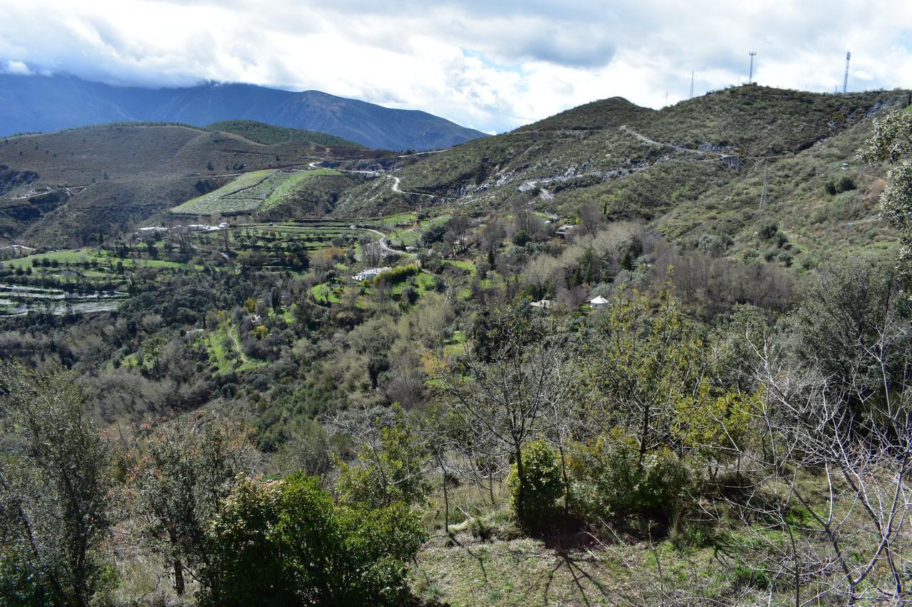 Dreams Alpujarra Apartment Pampaneira Exterior foto